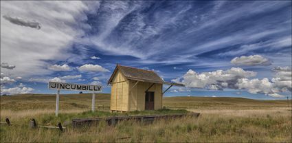 Jincumbilly Railway Siding - NSW T (PBH4 00 10925)